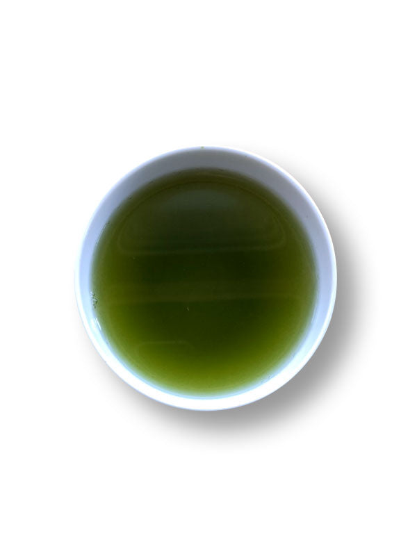上選白折茶 100克平袋裝